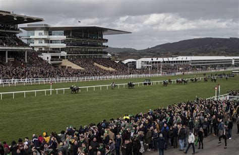 cheltenham horse racing tips|Cheltenham Tips .
